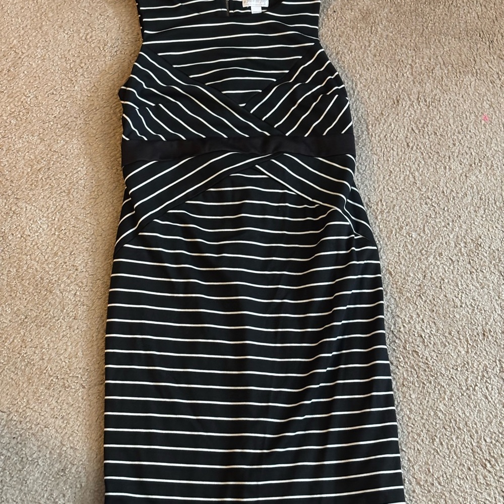 A Pea in the Pod Black and White Midi Dress